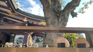 高木神社はおむすびでいっぱい！むすび石や境内の様子を写真で紹介